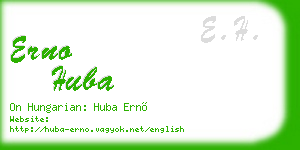 erno huba business card